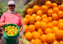 Colombia puede crecer 250% en exportaciones agrícolas en la próxima década, según AmCham